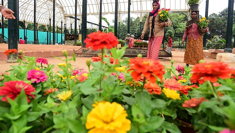 ಪುಷ್ಪ ಪ್ರದರ್ಶನಕ್ಕೆ ಲಾಲ್ ಬಾಗ್ ಸಜ್ಜು: ಮೈಸೂರು ದೊರೆ 'ಜಯಚಮರಾಜೇಂದ್ರ ಒಡೆಯರ್' ಗೆ ಅರ್ಪಣೆ