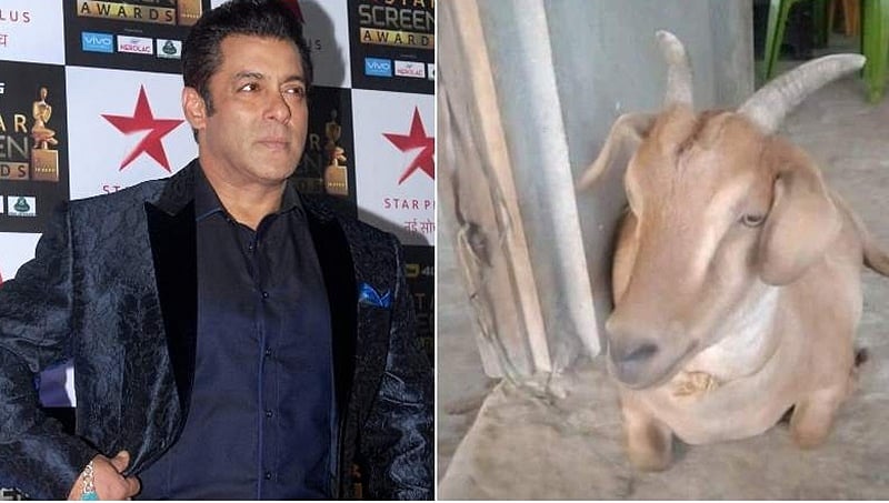 'ಸಲ್ಮಾನ್ ಖಾನ್' ನಾಪತ್ತೆ, ಮಾಹಿತಿ ನೀಡಿದವರಿಗೆ ಬಹುಮಾನ ಘೋಷಿಸಿದ ಅಸ್ಸಾಂ ಕುಟುಂಬ!