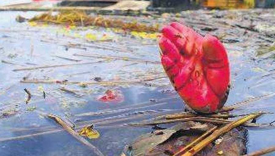 ಬೆಂಗಳೂರು: ಪಿಒಪಿ ಗಣೇಶ ಮೂರ್ತಿಗಳ ನಿಲ್ಲದ ಹಾವಳಿ