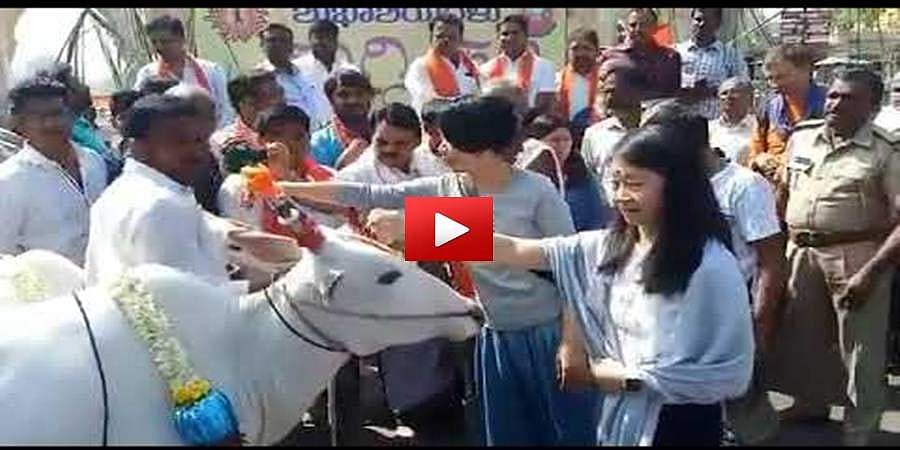 ಮಕರ ಸಂಕ್ರಾತಿ ಆಚರಣೆಯಲ್ಲಿ ಭಾಗಿಯಾದ ವಿದೇಶಿಗರು: ಗೋವುಗಳಿಗೆ ಪೂಜೆ