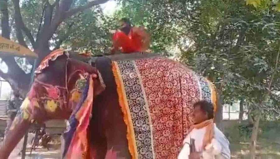 ಆನೆ ಮೇಲೆ ಯೋಗಾಸನ ಮಾಡಲು ಹೋಗಿ ಉರುಳಿಬಿದ್ದ ಬಾಬಾ ರಾಮ್ ದೇವ್! ವಿಡಿಯೋ ವೈರಲ್