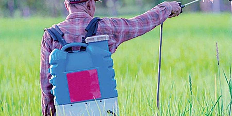 ಕೊರೋನಾ ಎಫೆಕ್ಟ್: ಎಂಡೋ ಸಲ್ಫಾನ್ ಸಂತ್ರಸ್ತರಿಗೆ ಸಿಗುತ್ತಿಲ್ಲ ಸ್ಟೈಫಂಡ್