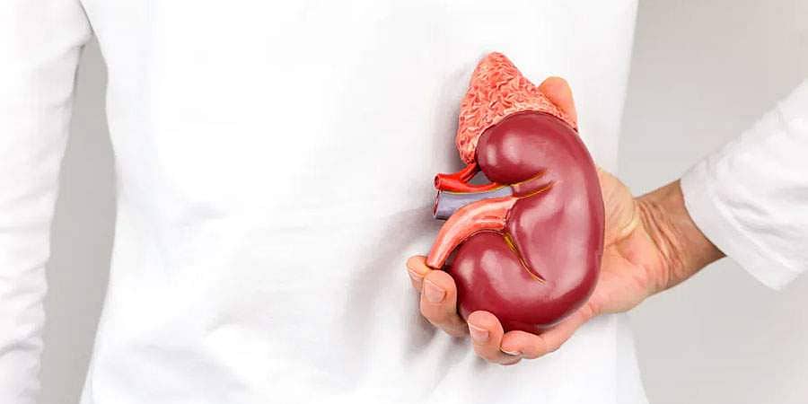 ಮೂತ್ರಪಿಂಡ ವೈಫಲ್ಯ ಅಥವಾ Kidney failure (ಕುಶಲವೇ ಕ್ಷೇಮವೇ)