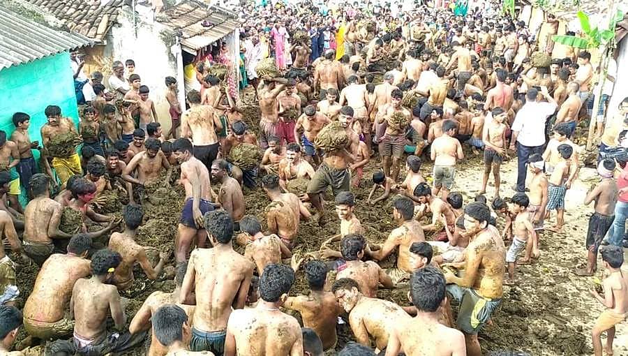 ಕೊರೊನಾ ಭೀತಿ ನಡುವೆಯೂ ಸಗಣಿಯಲ್ಲಿ ಹೊಡೆದಾಡಿ ಹಬ್ಬ ಮಾಡಿದ ತಮಿಳುನಾಡು ಕನ್ನಡಿಗರು!