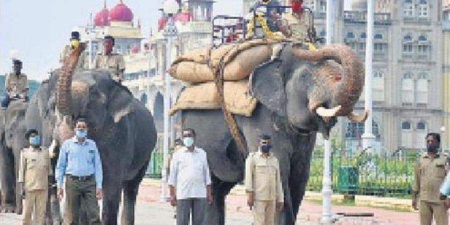 ಮೈಸೂರು: 2 ವಾರಗಳಲ್ಲಿ ಸಕ್ರಿಯ ಕೋವಿಡ್-19 ಪ್ರಕರಣಗಳು ಶೇ.75 ರಷ್ಟು ಇಳಿಕೆ