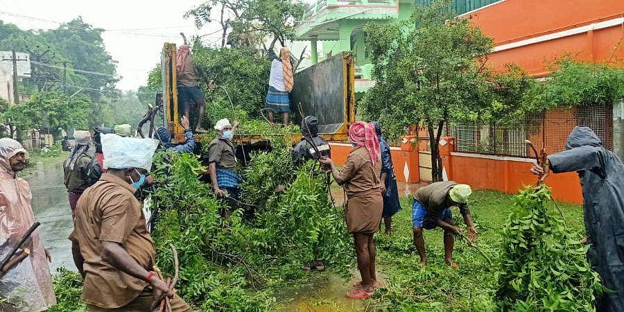 ನಿವಾರ್ ಚಂಡಮಾರುತ: ಭಾರೀ ಮಳೆಗೆ ಚೆನ್ನೈನಲ್ಲಿ 5 ಸಾವು, 80ಕ್ಕೂ ಹೆಚ್ಚು ಮರಗಳು ಧರೆಗೆ