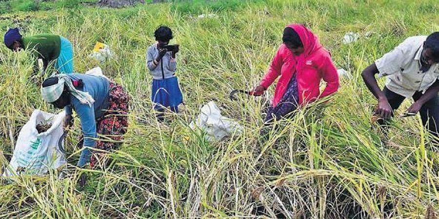 ರೈತರಿಂದ ದೆಹಲಿಯಲ್ಲಿ ಮುಂದುವರೆದ ಪ್ರತಿಭಟನೆ: ರಾಜ್ಯ ರೈತರಿಂದಲೂ ಒಗ್ಗಟ್ಟು ಪ್ರದರ್ಶನ, ಬೆಂಗಳೂರಿನಲ್ಲಿ ಇಂದು ಪ್ರತಿಭಟನೆ