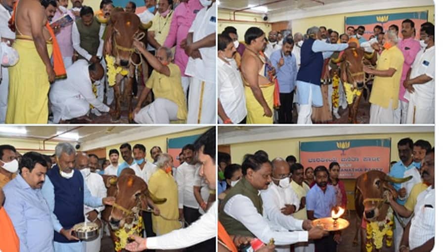 ಬಿಜೆಪಿ ಕಚೇರಿಯಲ್ಲಿ ಗೋಪೂಜೆ: ಇದೊಂದು ಐತಿಹಾಸಿಕ ನಿರ್ಣಯ ಎಂದ ಎಸ್.ಟಿ.ಸೋಮಶೇಖರ್