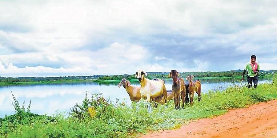 ಬೆಂಗಳೂರು: ವೃಷಭಾವತಿ ನದಿಗೆ ರಾಸಾಯನಿಕ ತ್ಯಾಜ್ಯ ಸುರಿಯಲು ಬಂದ ಟ್ರಕ್ ವಶಕ್ಕೆ ಪಡೆದ ನಾಗರೀಕರು!