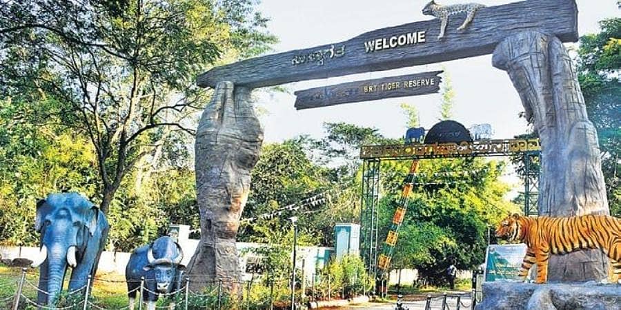 ಬಿಳಿಗಿರಿ ರಂಗಸ್ವಾಮಿ ಹುಲಿ ಸಂರಕ್ಷಿತ ಪ್ರದೇಶದಲ್ಲಿ ಪ್ರವಾಸಿಗರ ಮೇಲೆ ಕಣ್ಗಾವಲಿರಿಸಲು ಆ್ಯಪ್ ಅಭಿವೃದ್ಧಿ!