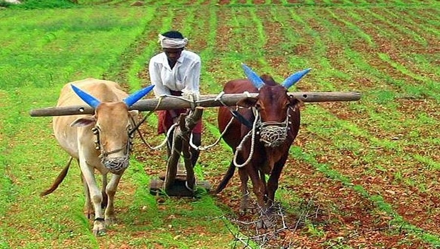 ರೈತ ದಿನಾಚರಣೆಗೆ ಜನ ನಾಯಕರ ಶುಭಾಶಯ: ರೈತರು ಸಂಧಾನಕ್ಕೆ ಮಣಿಯುವ ಭರವಸೆಯಲ್ಲಿ ಸರ್ಕಾರ, ಪ್ರತಿಭಟನೆ 26ನೇ ದಿನಕ್ಕೆ