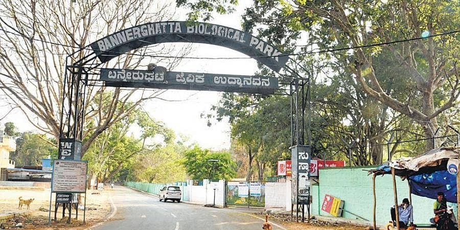 ಬೆಂಗಳೂರು: ಬನ್ನೇರುಘಟ್ಟದಲ್ಲಿ ತಿಂಗಳಾಂತ್ಯಕ್ಕೆ ಚಿರತೆ ಸಫಾರಿ ಆರಂಭ!