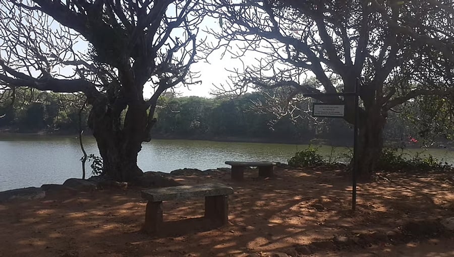 ರೋರಿಚ್‌ ಎಸ್ಟೇಟ್‌ ಅನ್ನು 'ಪಾರಂಪರಿಕ ಜೈವಿಕ ತಾಣ' ಎಂದು ಘೋಷಿಸಲು ಒತ್ತಾಯ