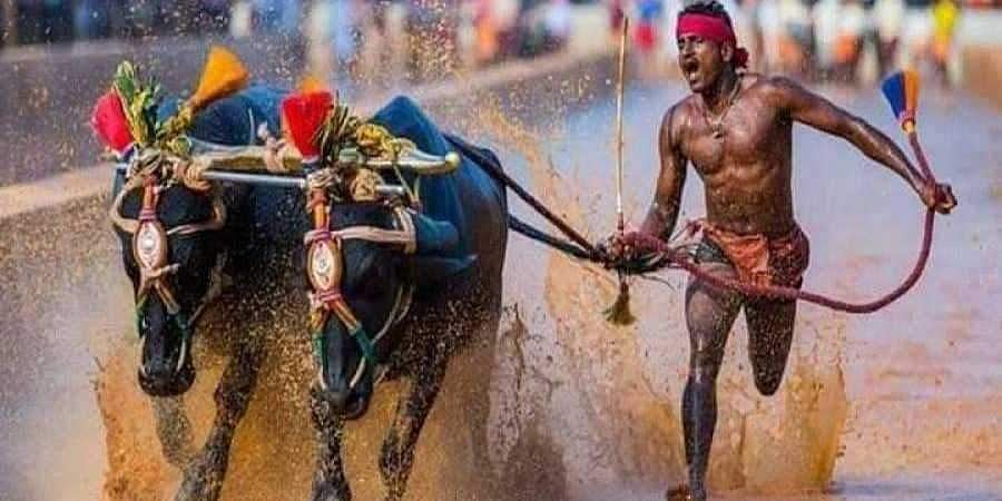 ಕಂಬಳದ ಮೋಡಿಗಾರ ಶ್ರೀನಿವಾಸ್ ಗೌಡರ ಬೆನ್ನು ತಟ್ಟಿದ ಉಪರಾಷ್ಟ್ರಪತಿ ವೆಂಕಯ್ಯ ನಾಯ್ಡು