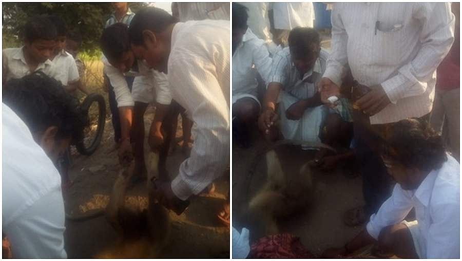 ಕೊಪ್ಪಳ: ಮಂಗನನ್ನು ರಕ್ಷಿಸಿ ಮಾನವೀಯತೆ ಮೇರೆದ ಗ್ರಾಮಸ್ಥರು!