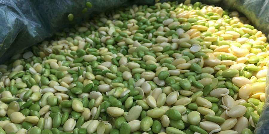 ಫೆಬ್ರವರಿ 6 ರಿಂದ ಮಾಗಡಿ ರೈತರಿಂದ ಅವರೆ ಮೇಳ