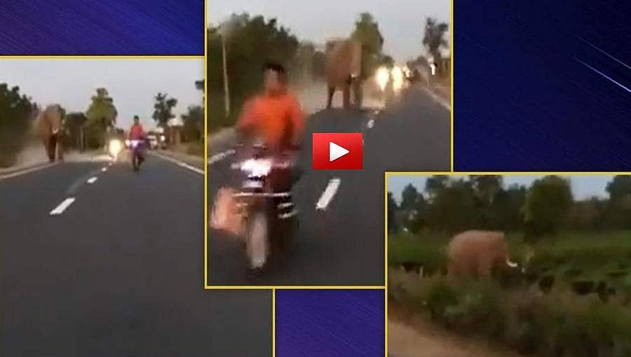 ಜಸ್ಟ್ ಮಿಸ್: ಗಜರಾಜನ ಆಕ್ರೋಶಕ್ಕೆ ನಡುಗಿದ ಬೈಕ್ ಸವಾರ, ವಿಡಿಯೋ ವೈರಲ್!