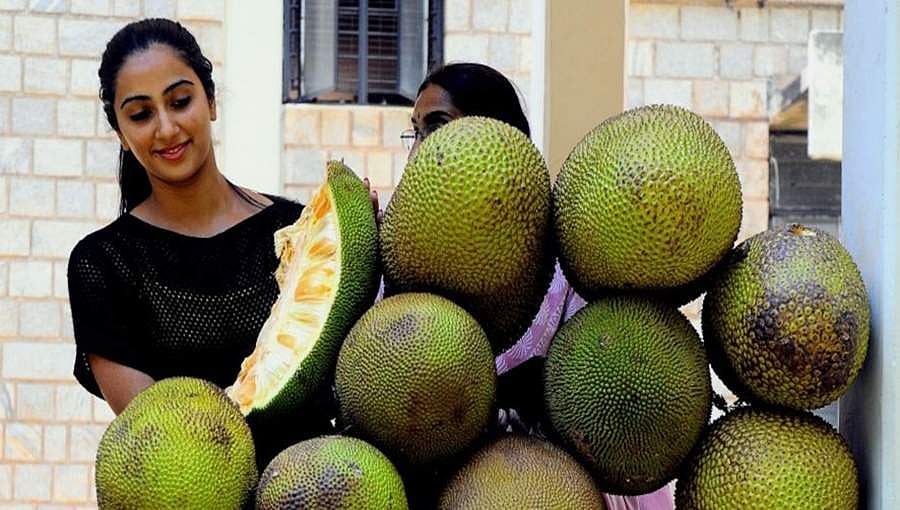 ಚಿಕನ್, ಮಟನ್ ಗಿಂತ ದುಬಾರಿಯಾಯ್ತು ಹಲಸಿನಕಾಯಿ! ಕಾರಣ ಹೀಗಿದೆ ನೋಡಿ