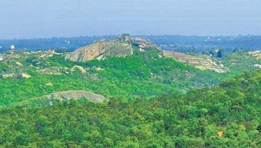 ಬನ್ನೇರುಘಟ್ಟ ಪಾರ್ಕ್ ನ ಸೂಕ್ಷ್ಮ ವಲಯ: ಕೇಂದ್ರದ ಅಧಿಸೂಚನೆಯಲ್ಲಿ ಕತ್ತರಿ, ಪರಿಸರ ಪ್ರೇಮಿಗಳಿಂದ ವಿರೋಧ