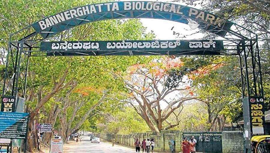 ಕೊರೋನಾ ಭೀತಿ: ಮಾ.23ರವರೆಗೆ ರಾಜ್ಯದ ಎಲ್ಲ ಮೃಗಾಲಯಗಳು ಬಂದ್