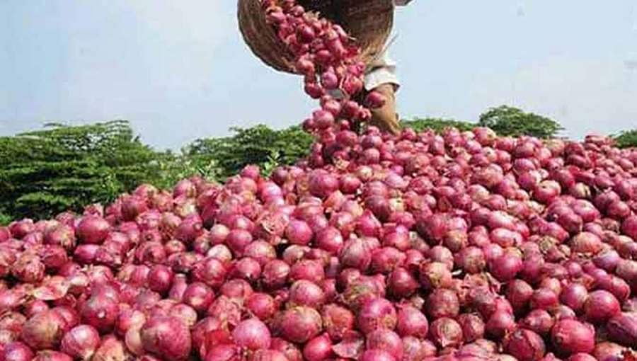 ರೂ.100 ದಾಟಿದ್ದ ಈರುಳ್ಳಿ ಬೆಲೆಯಲ್ಲಿ ಭಾರೀ ಕುಸಿತ