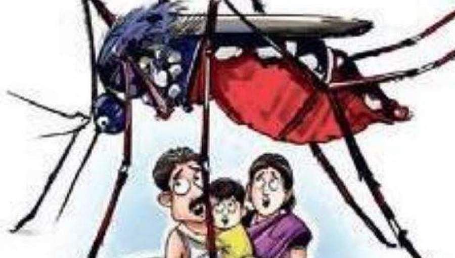 ಕೊರೋನಾ ಭೀತಿಯ ನಡುವೆ ಡೆಂಘೀ ಪ್ರಕರಣದಲ್ಲೂ ಹೆಚ್ಚಳ!