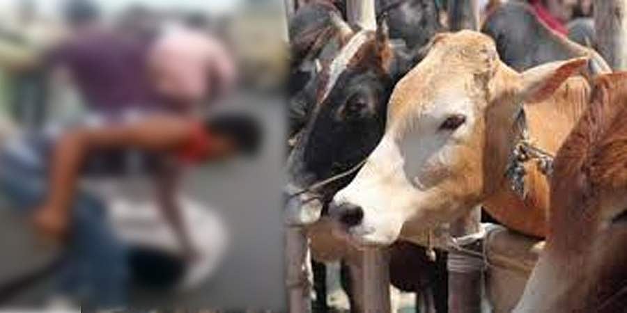 ಪೆಹ್ಲು ಖಾನ್ ಸಾಮೂಹಿಕ ಹತ್ಯೆ ಪ್ರಕರಣ: ಇಬ್ಬರು ಅಪ್ರಾಪ್ತರು ತಪ್ಪಿತಸ್ಥರು ಎಂದ ಕೋರ್ಟ್