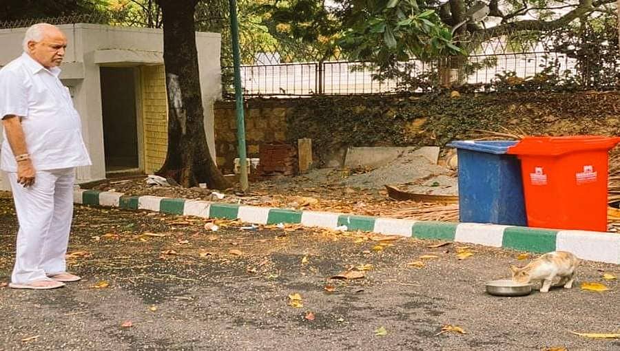ಬೆಕ್ಕಿನ ಮರಿಗೆ ಆಹಾರ ನೀಡಿದ ಯಡಿಯೂರಪ್ಪ: ಪ್ರಾಣಿ, ಪಕ್ಷಿಗಳಿಗೆ ಉಣಿಸಲು ಮುಖ್ಯಮಂತ್ರಿ ಮನವಿ