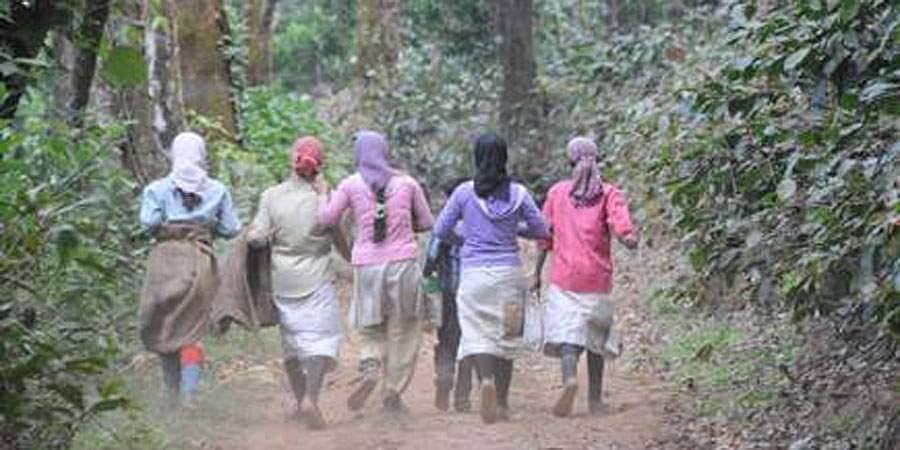 ಕೋವಿಡ್-19: ಚಿಕ್ಕಮಗಳೂರಿನಲ್ಲಿ ಟ್ರಕ್‍ ನಲ್ಲಿದ್ದ 22 ಎಸ್ಟೇಟ್ ಕಾರ್ಮಿಕರ ರಕ್ಷಣೆ