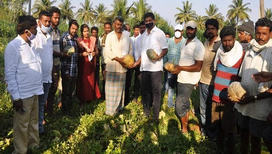 ತರಕಾರಿ, ಹಣ್ಣು ಖರೀದಿಸಿ ಮಂಡ್ಯ ರೈತರಿಗೆ ನೆರವಾದ ಸಂಸದ ಡಿ.ಕೆ.ಸುರೇಶ್