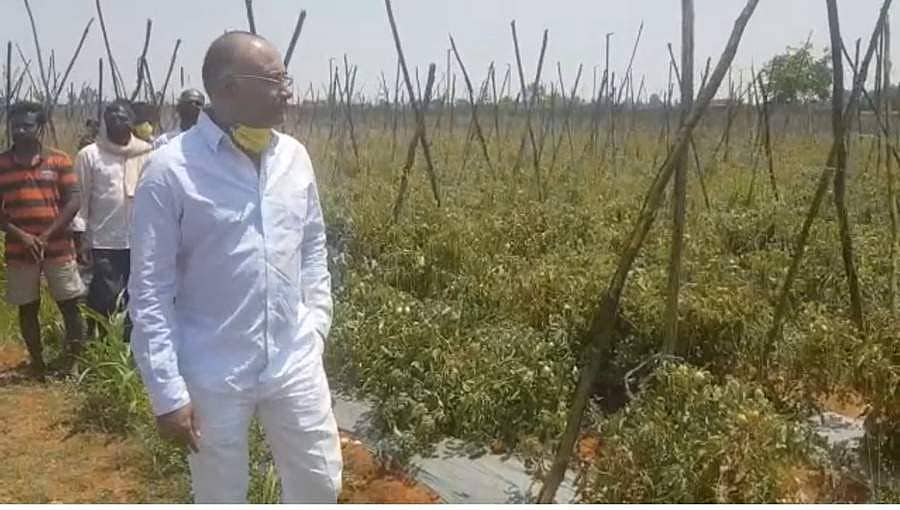 ಲಾಕ್ ಡೌನ್: ರೈತರ ಸಂಕಷ್ಟಕ್ಕೆ ನೆರವಾದ ದಿನೇಶ್ ಗುಂಡೂರಾವ್, ರೈತರಿಂದ 100 ಕ್ವಿಂಟಾಲ್ ತರಕಾರಿ ಖರೀದಿ