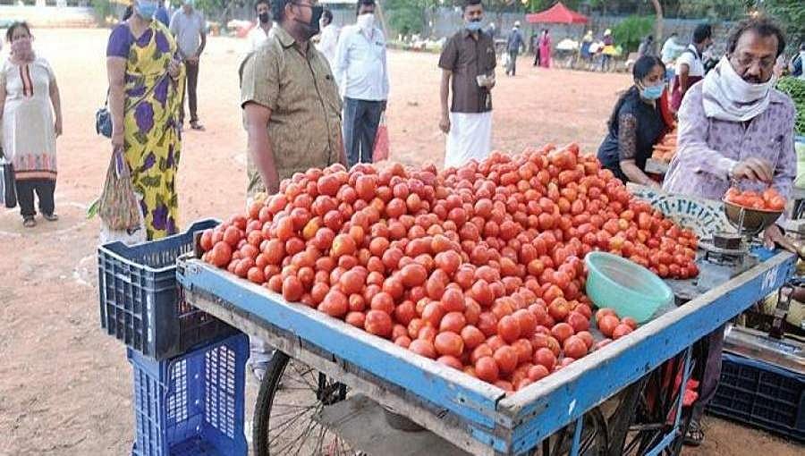 ವಿದೇಶಗಳಿಗೆ ಹಣ್ಣು-ತರಕಾರಿ ರಫ್ತಿಗೆ ನಿರ್ಧಾರ: ರೈತರ ಮೊಗದಲ್ಲಿ ಭರವಸೆಯ ಬೆಳಕು
