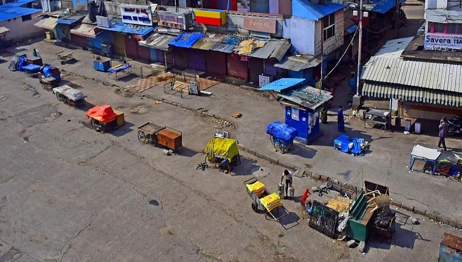 ಲಾಕ್ ಡೌನ್ ಎಫೆಕ್ಟ್: ಆಹಾರಕ್ಕಾಗಿ ಪ್ರಾಣಿಗಳನ್ನು ಕೊಲ್ಲುತ್ತಿರುವ ನಾಯಿಗಳು ಮತ್ತು ಮನುಷ್ಯರು