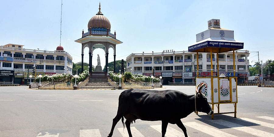 ರಾಜ್ಯದಲ್ಲಿ ಕಟ್ಟುನಿಟ್ಟಿನ ಲಾಕ್ಡೌನ್ ಜಾರಿಗೆ ಎನ್ಡಿಆರ್ಎಫ್ ಸೂಚನೆ