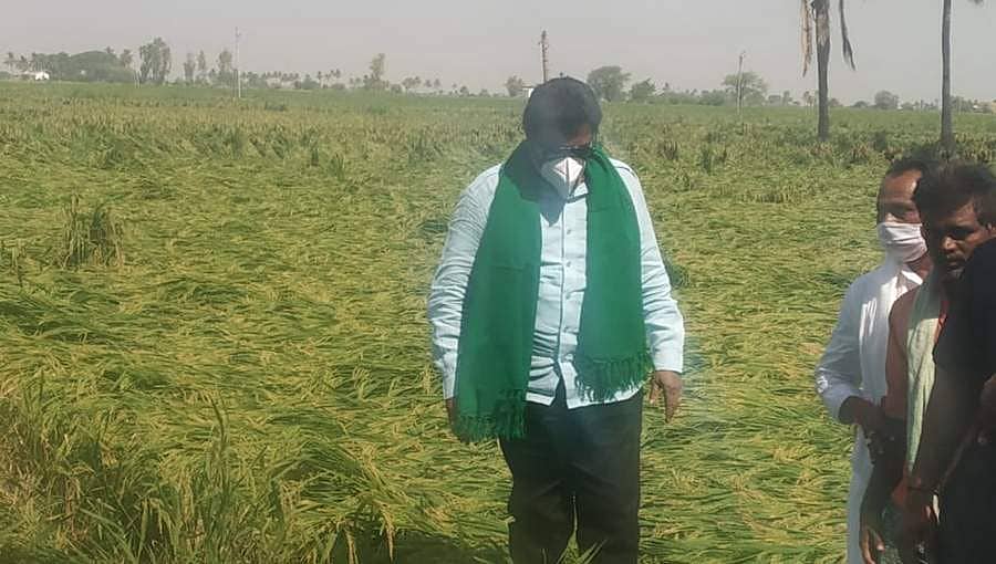 ಅಕಾಲಿಕ ಮಳೆಯಿಂದ ನಷ್ಟವಾದ ಜಮೀನುಗಳಿಗೆ ಭೇಟಿ: ರೈತರಿಗೆ ಆತ್ಮಸ್ಥೈರ್ಯ ತುಂಬಿದ ಬಿಸಿ ಪಾಟೀಲ್ 
