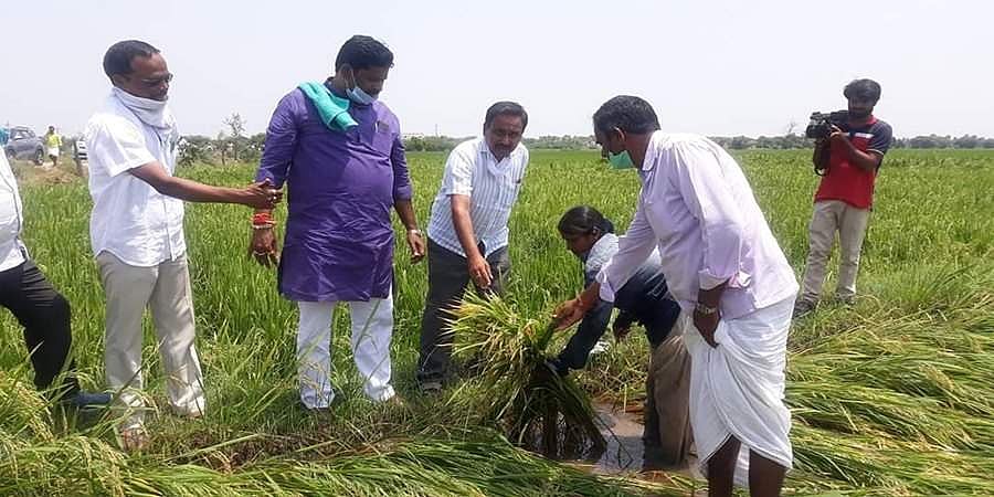 ಪ್ರತಿ ಹೆಕ್ಟೇರಿಗೆ 50 ಸಾವಿರ ಪರಿಹಾರ ಕೊಡಬೇಕು: ಮಾಜಿ ಸಚಿವ ಶಿವರಾಜ‌ ತಂಗಡಗಿ ಆಗ್ರಹ