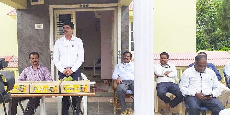 ಮಂಡ್ಯ: ಆನ್ ಲೈನ್ ಮೂಲಕ ಮಾವು ಖರಿದಿಸುವ ಮ್ಯಾಂಗೂ ಪಿಕ್ಕಿಂಗ್ ವಿನೂತನ ಕಾರ್ಯಕ್ರಮಕ್ಕೆ ಚಾಲನೆ