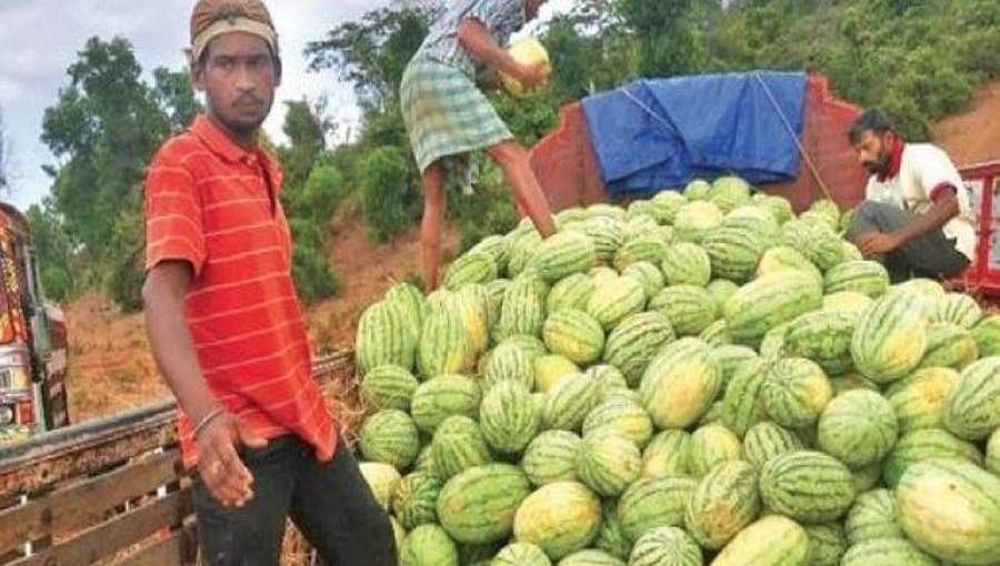ಲಾಕ್ ಡೌನ್ ಜಾರಿಯಾದ ಬಳಿಕ ರೈತರ ಸಂಕಷ್ಟಕ್ಕೆ ಮಿಡಿದ ಮೊದಲ ರಾಜ್ಯ ಕರ್ನಾಟಕ!