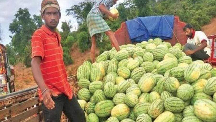 ಲಾಕ್ ಡೌನ್ ಜಾರಿಯಾದ ಬಳಿಕ ರೈತರ ಸಂಕಷ್ಟಕ್ಕೆ ಮಿಡಿದ ಮೊದಲ ರಾಜ್ಯ ಕರ್ನಾಟಕ!