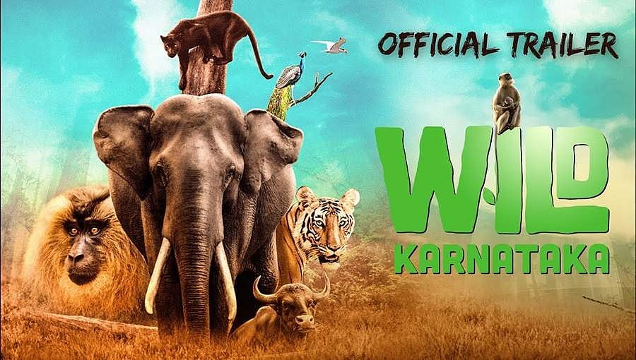 ವೈಲ್ಡ್ ಕರ್ನಾಟಕ ಡಾಕ್ಯೂಮೆಂಟರಿ ರಾಜ್ಯದ ಪ್ರತಿಯೊಬ್ಬರನ್ನು ತಲುಪಲಿದೆ: ರಿಷಬ್ ಶೆಟ್ಟಿ