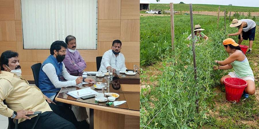 ಅಗ್ರಿ ಅಥವಾ ಕೃಷಿ ಪ್ರಧಾನ ಟೂರಿಸಂ ಪ್ರಾರಂಭಿಸಲು ಕ್ರಮ: ಸಿ.ಟಿ. ರವಿ