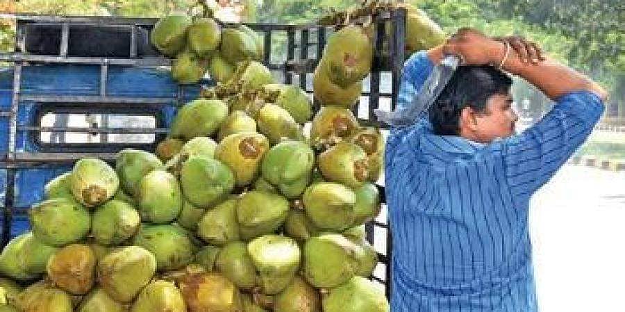 ಮದ್ಯ ಮಾರಾಟ ಆರಂಭ: ಎಳನೀರು ಮಾರಾಟದಲ್ಲಿ ಭಾರೀ ಇಳಿಕೆ