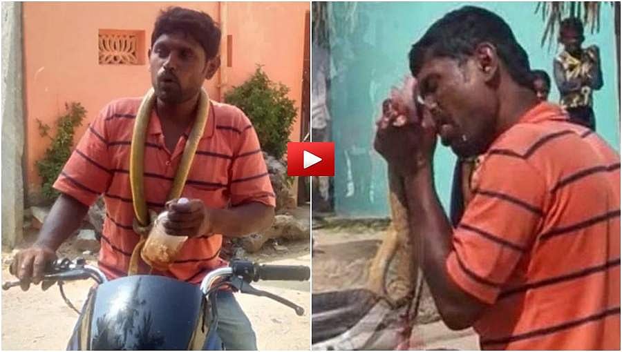 ಕೋಲಾರ: ಕುಡಿದ ಮತ್ತಿನಲ್ಲಿ ತನ್ನ ದಾರಿಗೆ ಅಡ್ಡ ಬಂದ ಹಾವನ್ನು ಕಚ್ಚಿ ಕಚ್ಚಿ ತಿಂದ ಭೂಪ, ವಿಡಿಯೋ ವೈರಲ್!