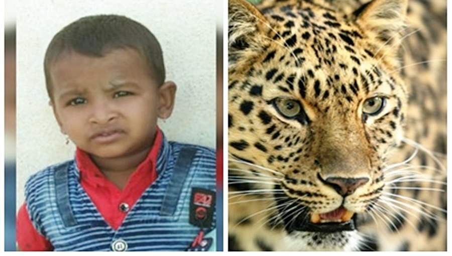 ರಾಮನಗರ: ಮಲಗಿದ್ದ ಮಗು ಚಿರತೆಗೆ ಬಲಿ