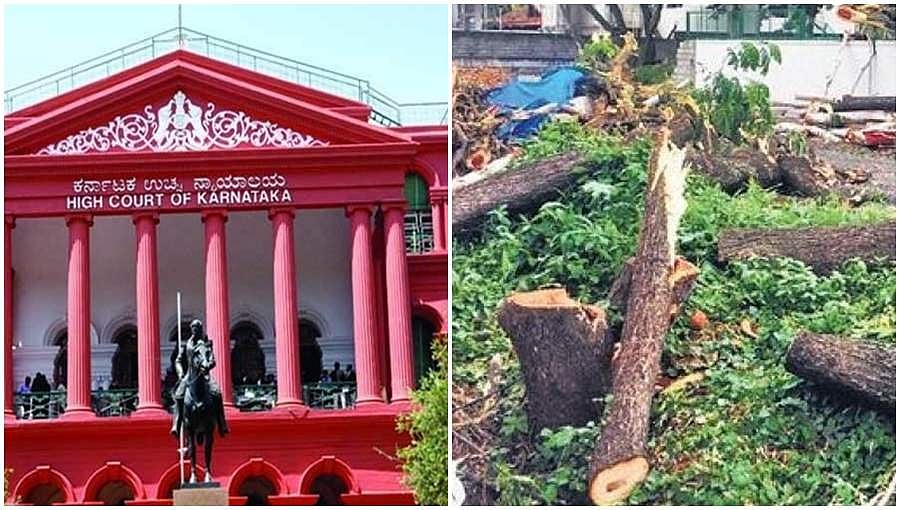 ಮೆಟ್ರೊ ಕಾಮಗಾರಿಗೆ 40 ಕ್ಕೂ ಹೆಚ್ಚು ಮರಗಳು ಧರೆಗೆ, ಹೈಕೋರ್ಟ್ ತಡೆ