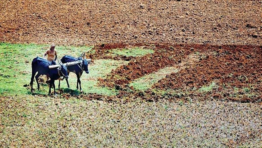 ಇನ್ನು ಮುಂದೆ ಕೃಷಿಯೇತರರು ಕೃಷಿ ಭೂಮಿಯನ್ನು ಖರೀದಿಸಬಹುದು:ರಾಜ್ಯ ಸಚಿವ ಸಂಪುಟ ಒಪ್ಪಿಗೆ