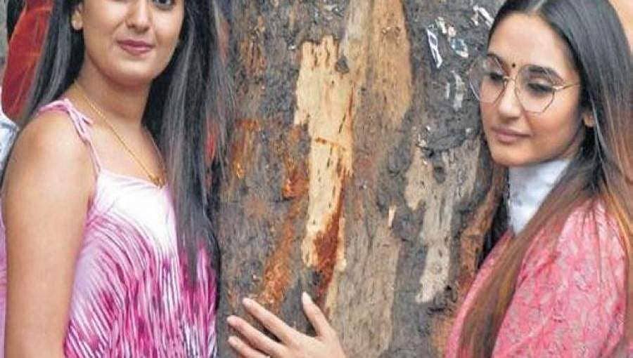 ಬೆಂಗಳೂರಿನಲ್ಲಿ ಚಿಪ್ಕೋ ಚಳುವಳಿ: ನಮ್ಮ ಮಟ್ರೋಗಾಗಿ ಮರ ಕಡಿಯದಂತೆ ಅಭಿಯಾನ