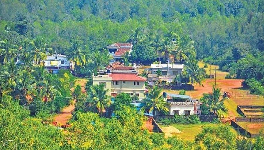 ಉತ್ತರ ಕನ್ನಡ ಜಿಲ್ಲೆಯ ಕುಮಟಾ ತಾಲ್ಲೂಕಿನಲ್ಲಿ ಮಾದರಿ ಸಮುದಾಯ ಅರಣ್ಯ!