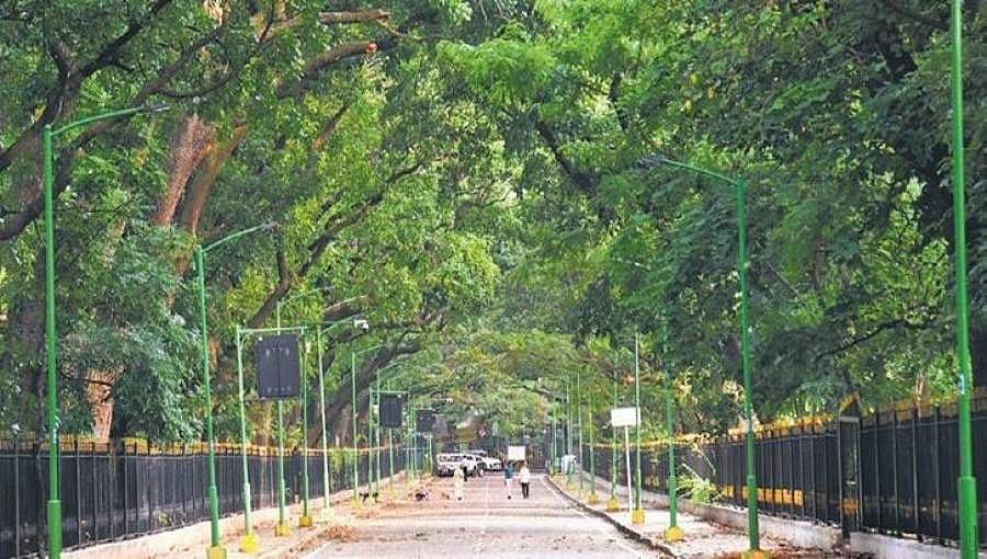ಕೊರೋನಾ ಸಂಕಟದ ನಡುವೆ ಬೆಳ್ಳಿ ಗೆರೆ: ಬೆಂಗಳೂರು ವಾಯು ಮಾಲಿನ್ಯ ದಾಖಲೆ ಪ್ರಮಾಣದಲ್ಲಿ ಇಳಿಕೆ