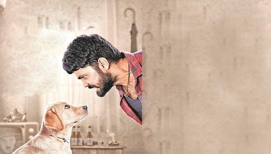ರಕ್ಷಿತ್ ಶೆಟ್ಟಿ ಜನ್ಮದಿನಕ್ಕೆ '777 ಚಾರ್ಲಿ' ತಂಡದಿಂದ ಸಿಕ್ತಿದೆ ವಿಶೇಷ ಗಿಫ್ಟ್!